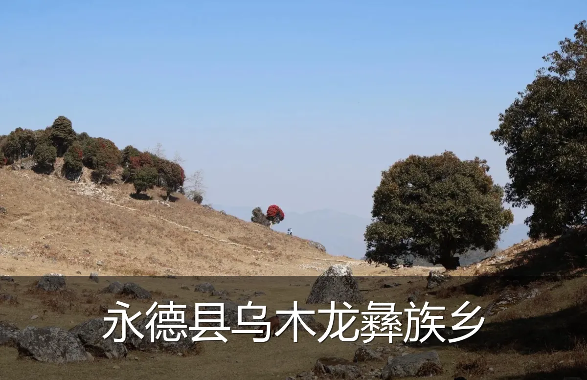 永德县乌木龙彝族乡